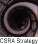 Social Networking Conference Shows Broad Enterprise Case Studies: CSRA Christopher S. Rollyson and Associates