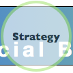 Social Business Life Cycle: Strategy