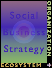 The Social Business Organization Audit and Social Business Strategy