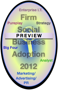 Preview Advisory & Services Firm Social Business Adoption: Metrics, Design & Method