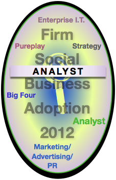 Analyst Report: Advisory & Services Firm Social Business Adoption 2012