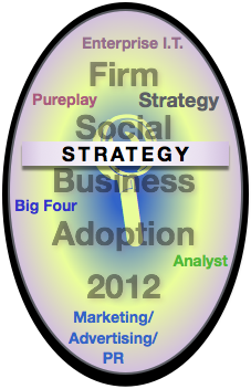 Strategy Report: Advisory & Services Firm Social Business Adoption 2012