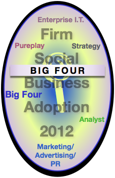 Big Four Firm Report: Advisory & Services Firm Social Business Adoption 2012