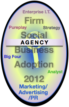 Agency Report: Advisory & Services Firm Social Business Adoption 2012