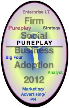 Pureplay Report: Advisory & Services Firm Social Business Adoption 2012 