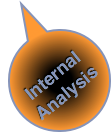 Social Business Double Value Proposition: Internal Analysis [Organization Audit]