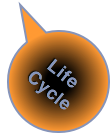 Social Business Transformation Tools: adoption life cycle