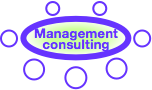 Social Business Management Consulting Widget
