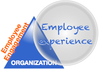 The Employee Engagement Fallacy: Employee Experience View of Organization