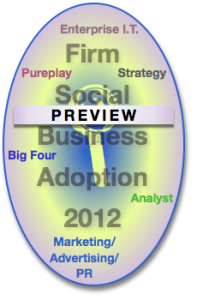 Preview Advisory & Services Firm Social Business Adoption 2012