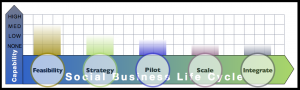 Analyst Report: Advisory & Services Firm Social Business Adoption Capabilities