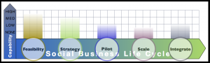 Strategy Report: Advisory & Services Firm Social Business Capabilities