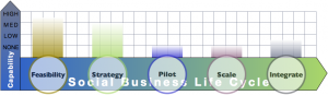 Big Four Firm Report: Advisory & Services Firm Social Business Adoption Capabilities