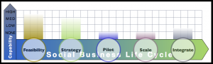 Big Four Firm Report: Advisory & Services Firm Social Business Adoption Capabilities
