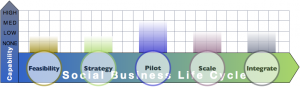 Enterprise I.T. Report: Advisory & Services Firm Social Business Adoption Capabilities