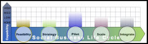 Enterprise I.T. Report: Advisory & Services Firm Social Business Adoption Capabilities