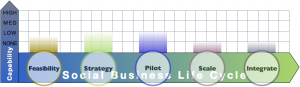 Agency Report: Advisory & Services Firm Social Business Adoption Capabilities