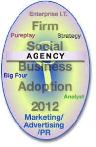 Agency Report: Advisory & Services Firm Social Business Adoption Executive Summary