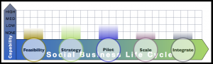 Agency Report: Advisory & Services Firm Social Business Adoption Capabilities