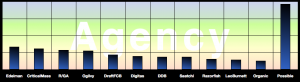 Agency Report: Advisory & Services Firm Social Business Adoption Score Table