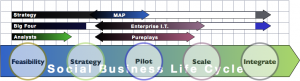 Social Business Life Cycle & Firm Category: Firm Social Business Adoption 2012