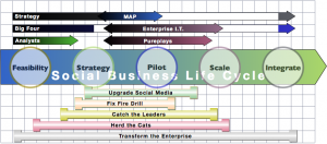 Social Business Life Cycle & Client Use Case: Firm Social Business Adoption 2012: advisors & use cases