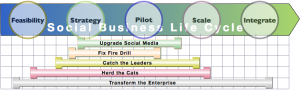 Enterprise Social Business Life Cycle