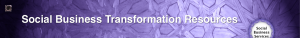 Social Business Transformation Services: Social Business Services